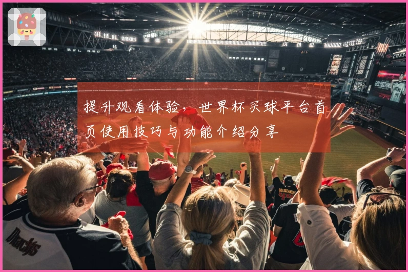 提升观看体验，世界杯买球平台首页使用技巧与功能介绍分享