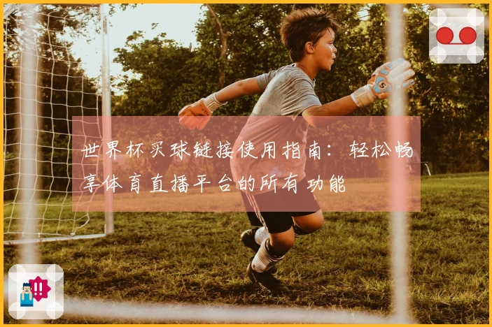 世界杯买球链接使用指南：轻松畅享体育直播平台的所有功能