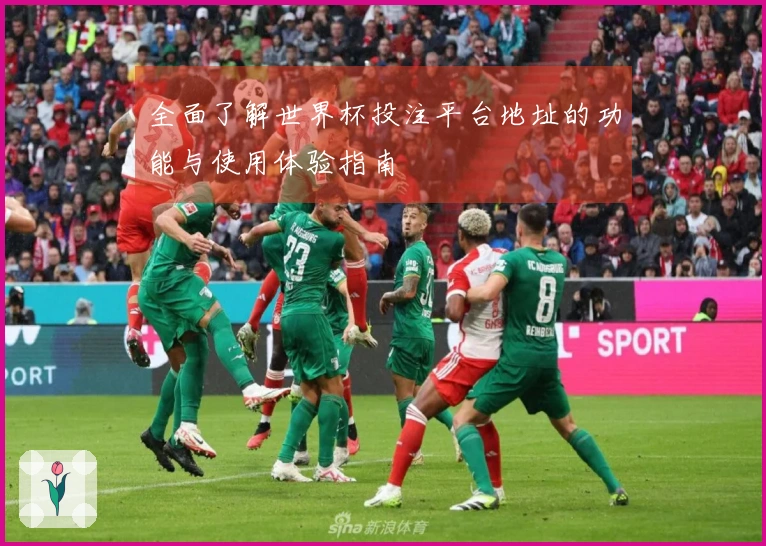 全面了解世界杯投注平台地址的功能与使用体验指南