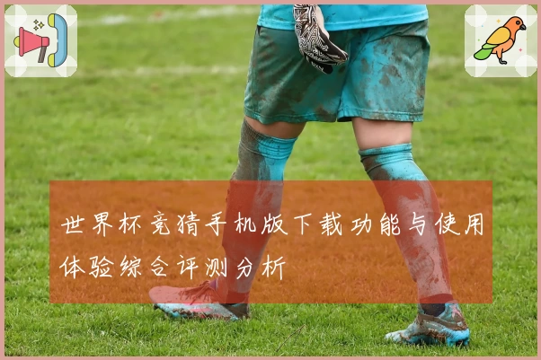 世界杯竞猜手机版下载功能与使用体验综合评测分析