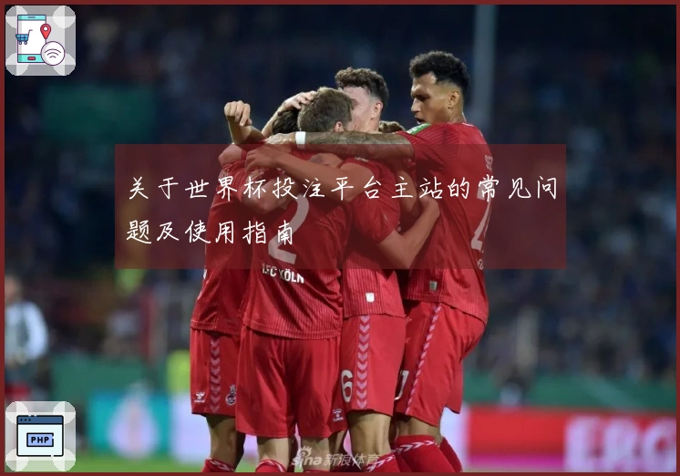 关于世界杯投注平台主站的常见问题及使用指南