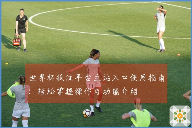 世界杯投注平台主站入口使用指南：轻松掌握操作与功能介绍