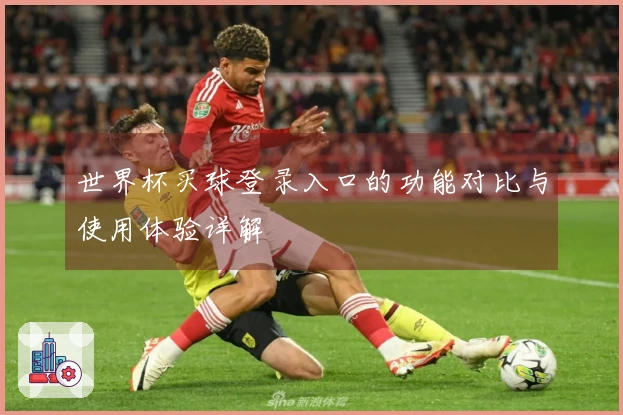 世界杯买球登录入口的功能对比与使用体验详解