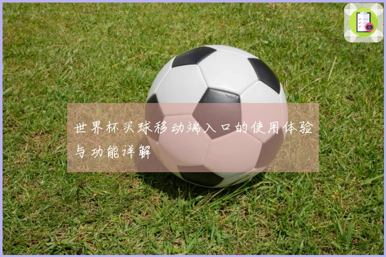 世界杯买球移动端入口的使用体验与功能详解