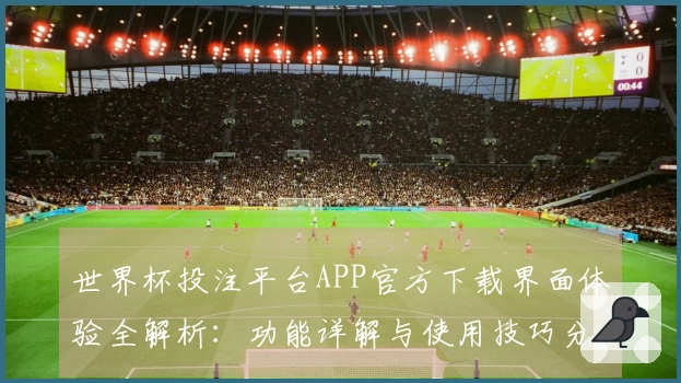 世界杯投注平台APP官方下载界面体验全解析：功能详解与使用技巧分享