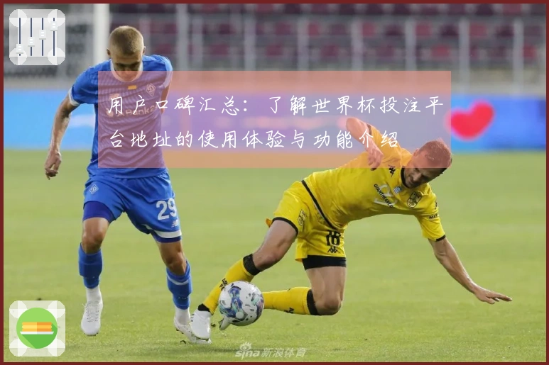 用户口碑汇总：了解世界杯投注平台地址的使用体验与功能介绍