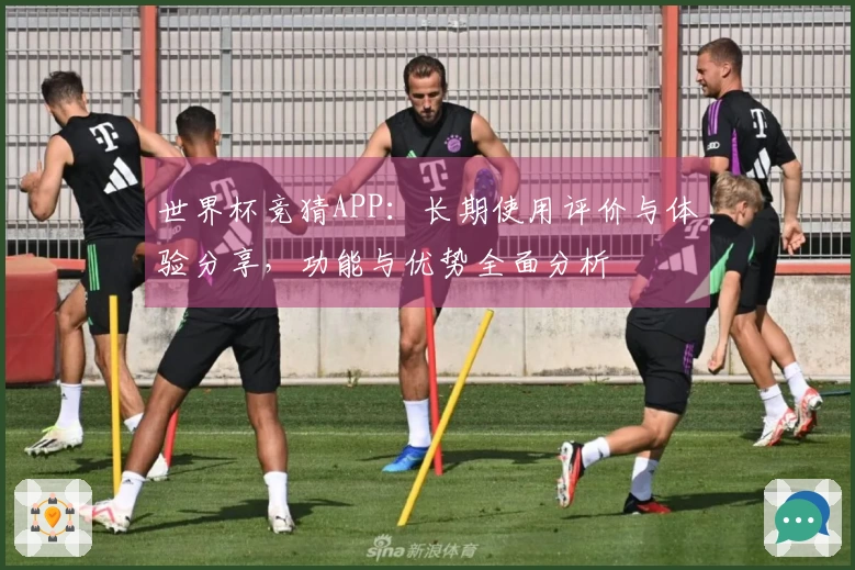 世界杯竞猜APP：长期使用评价与体验分享，功能与优势全面分析