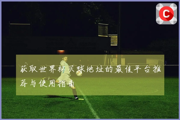 获取世界杯买球地址的最佳平台推荐与使用指南