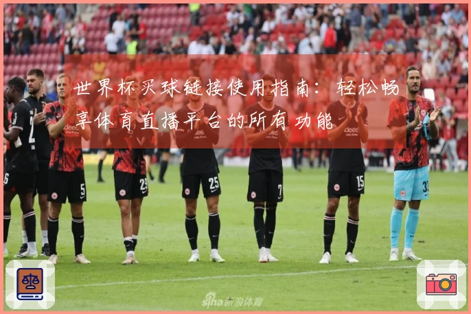 世界杯买球链接使用指南：轻松畅享体育直播平台的所有功能