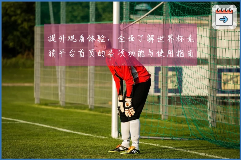提升观看体验，全面了解世界杯竞猜平台首页的各项功能与使用指南