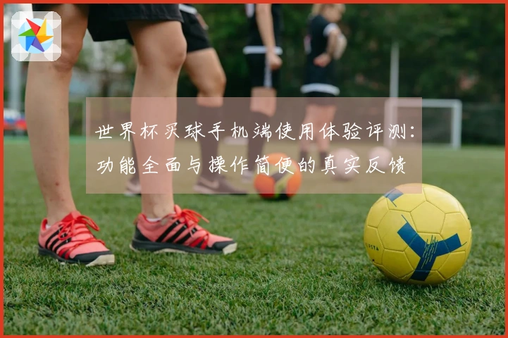 世界杯买球手机端使用体验评测：功能全面与操作简便的真实反馈