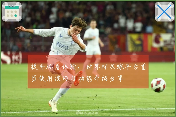 提升观看体验，世界杯买球平台首页使用技巧与功能介绍分享