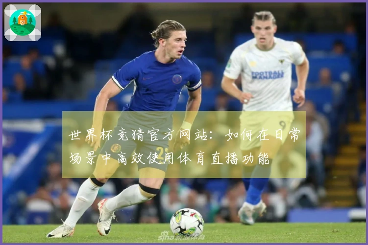 世界杯竞猜官方网站：如何在日常场景中高效使用体育直播功能